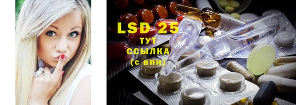 стафф Бородино