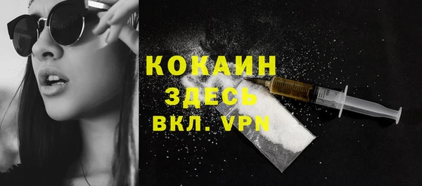 стафф Бородино