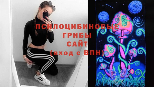 стафф Бородино
