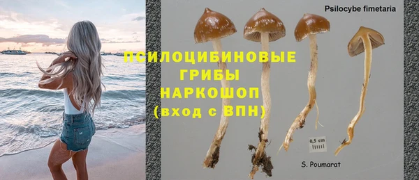 дмт Тобольск
